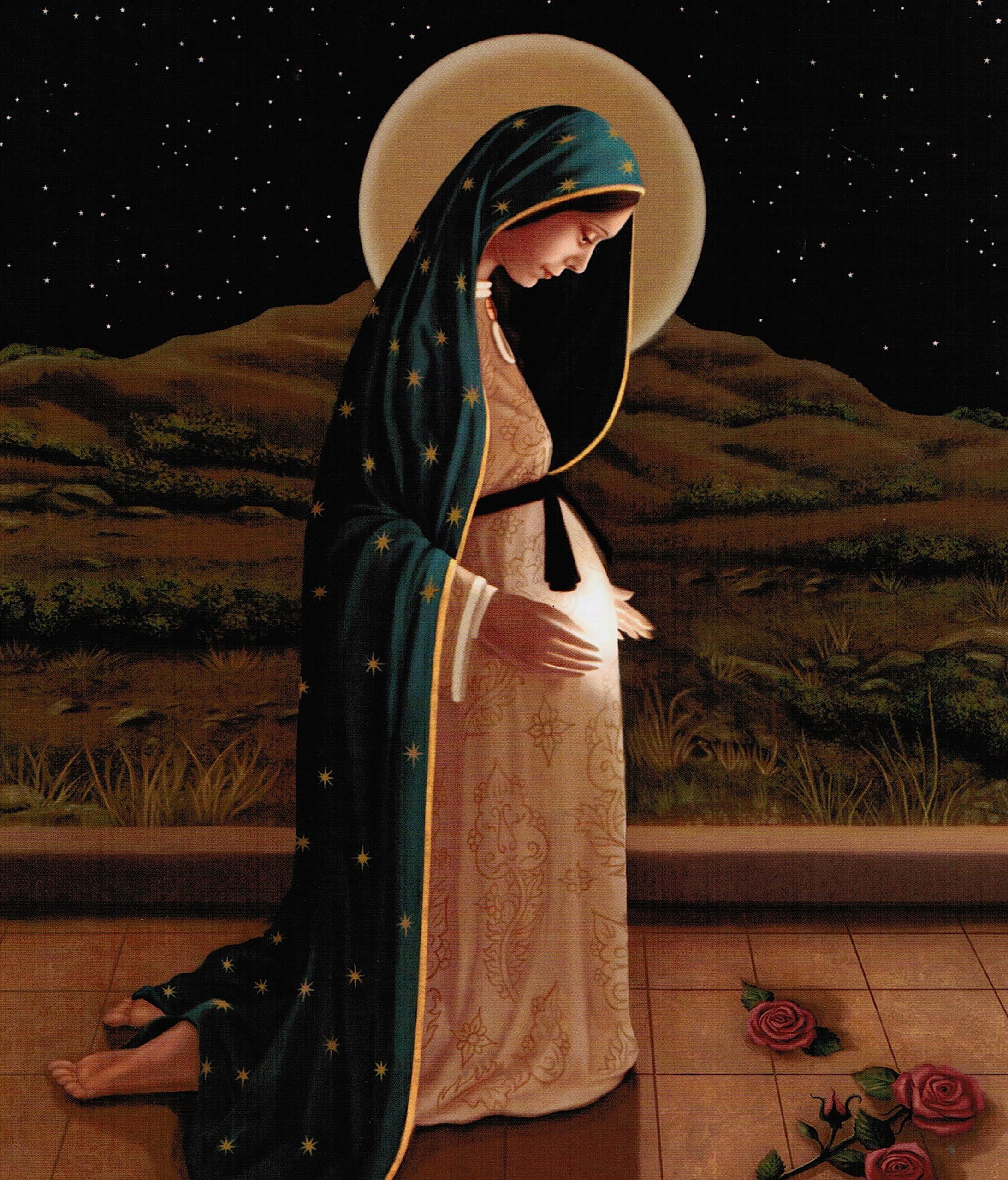 40+ Hình ảnh Đức Mẹ Maria đẹp nhất của Thiên Chúa Giáo | Hình ảnh, Đức mẹ,  Viết